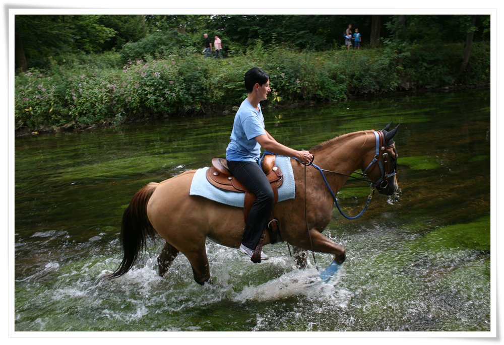 im Schlossgarten Donaueschingen