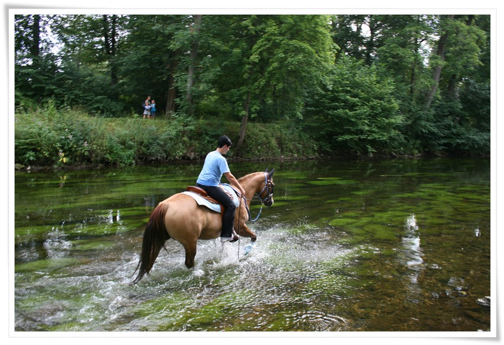 im Schlossgarten Donaueschingen