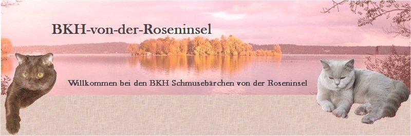 BKH-von-der-Roseninsel