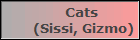 Cats 
(Sissi, Gizmo)
